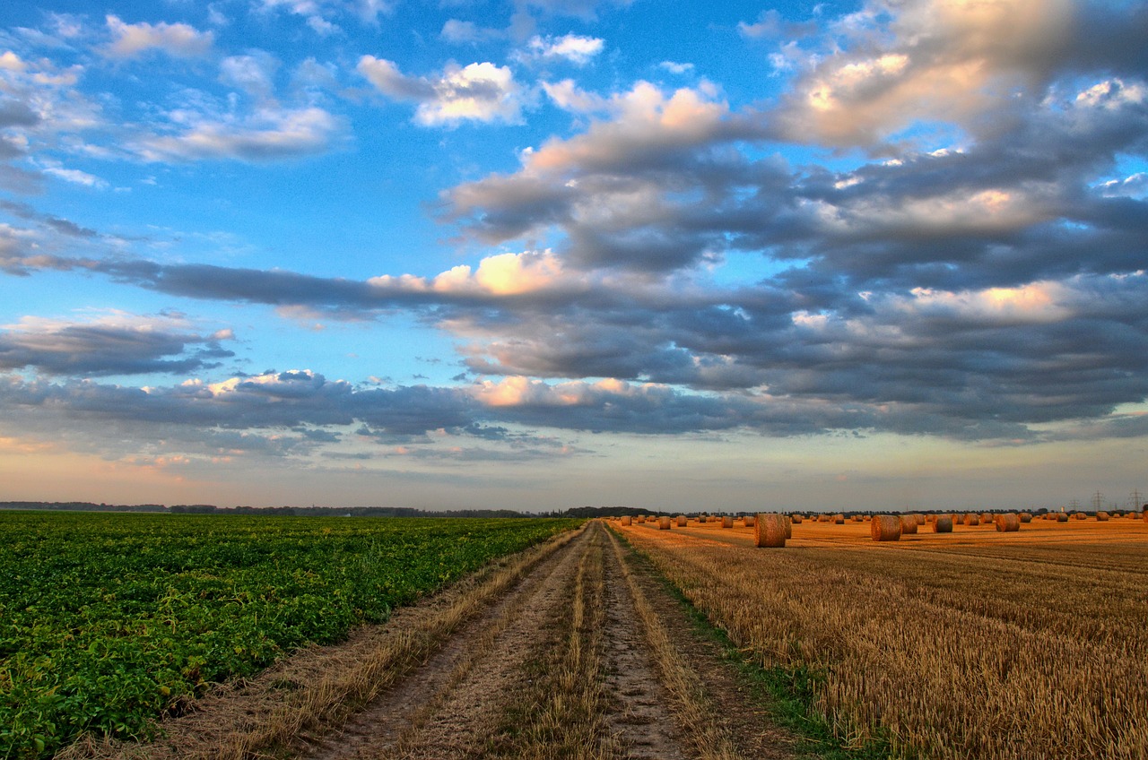 You are currently viewing Das sind die Herausforderungen in der modernen Landwirtschaft